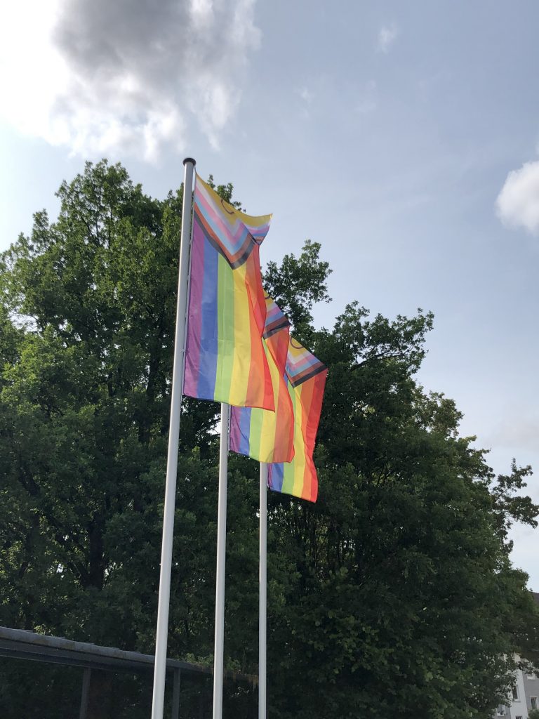 gehisste progressive Pride Flaggen am Bühler Campus der Universität Hildesheim